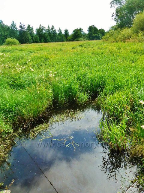 České Milovy - PR Meandry Svratky