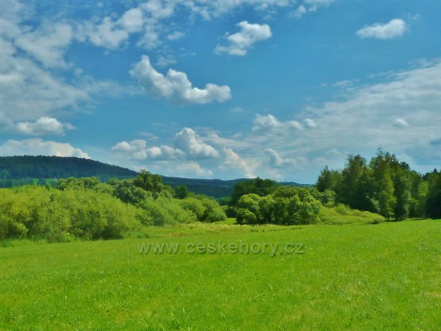 České Milovy - PR Meandry Svratky