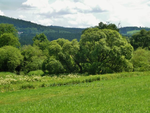 České Milovy - PR Meandry Svratky