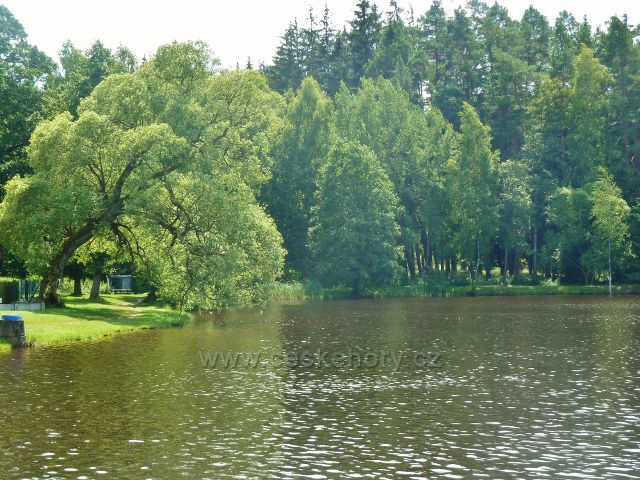 Milovy - Milovský rybník