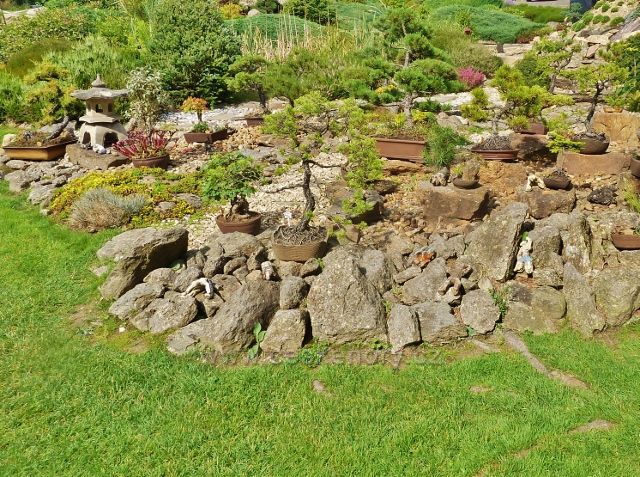 Sněžné Japonská zahrada