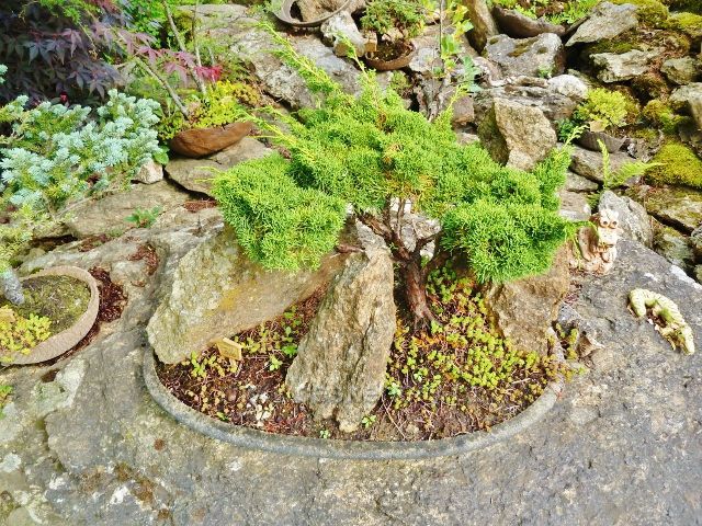 Sněžné  - Japonská zahrada