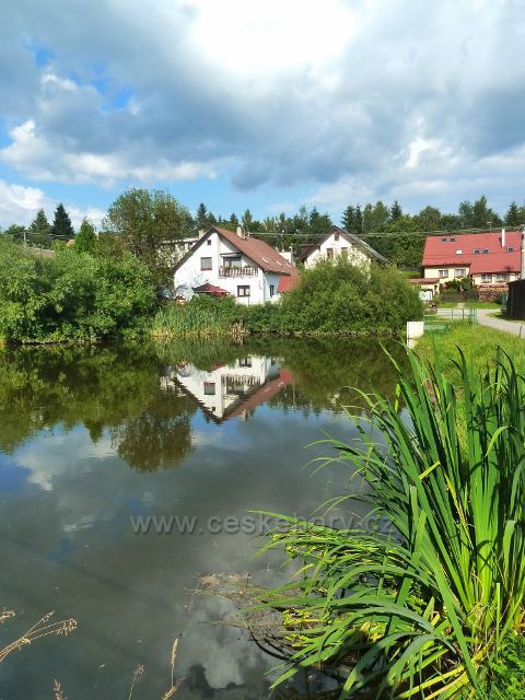 Sněžné - Barvířův rybník