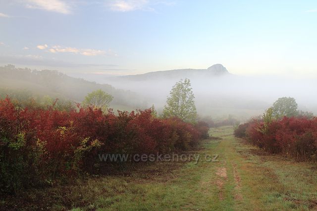 Mlha za Bílinou