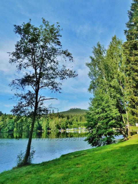 Milovy - Milovský rybník