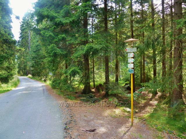 Sněžné - rozcestí Dráteničky