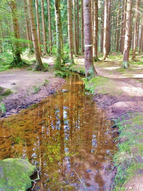Sněžné - Černý potok u cesty ke skalnímu útvaru Dráteničky