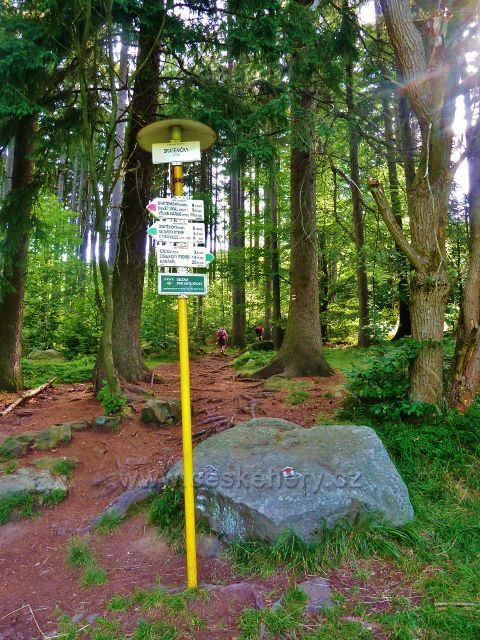 Sněžné - turistický rozcestník "Dráteničky 707 m.n.m."