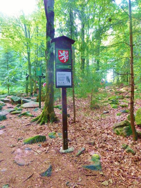 Sněžné - stezka po červené TZ dosáhla hranice PP Drátenická skála