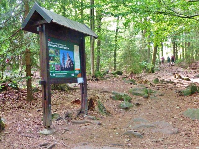 Sněžné - stezka po červené TZ ke skalnímu útvaru Dráteničky prochází kolem panelu Drátenická skála