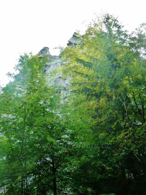 Sněžné - průhled k vrcholu Drátníku (776n m.n.m.)