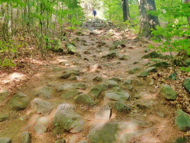 Sněžné - kamenitá cesta po červené TZ k Malinské skále