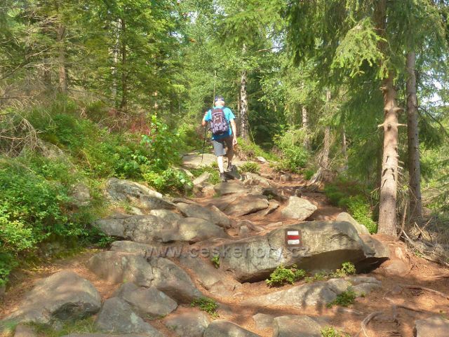 Sněžná - značně kamenitý úsek cesty po červené TZ k Malinské skále