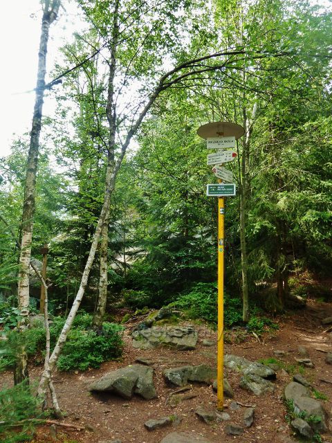 Sněžné - turistický rozcestník "Malinská skála  811 m.n.m."