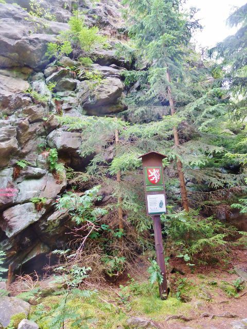 Sněžné - PP Malinská skála, Srnčí věž