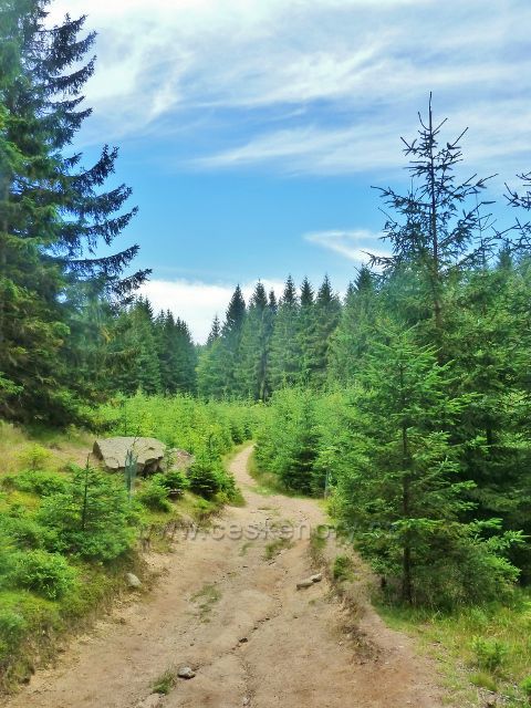 Sněžné - cesta po červené TZ k PP Lisovská skála