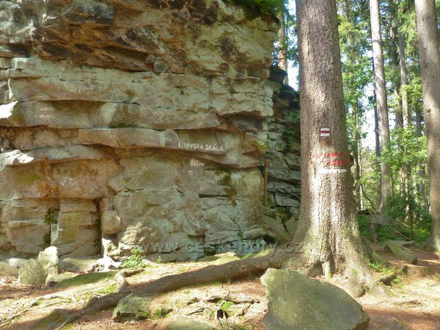 Sněžné - PP Lisovská skála 801 m.n.m.