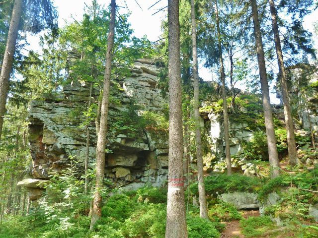 Sněžné - PP  Lisovská skála