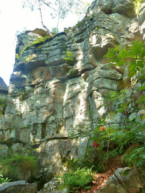 Sněžné - PP Lisovská skála, Strážní věwž