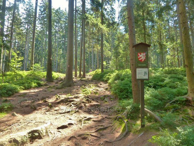 Sněžné - hranice PP Lisovská skála