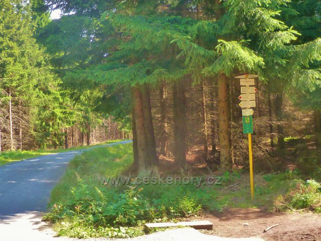 Sněžné - turistický rozcestník "Pod Lisovskou skálou 747 m.n.m."