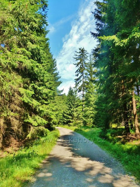 Herálec - cesta po červené TZ k rozcestí Devět skal