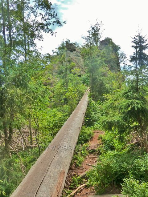 Křižánky - PP Devět skal