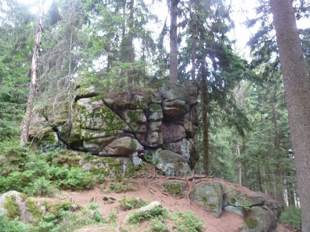 Křižánky -  PP Devět skal