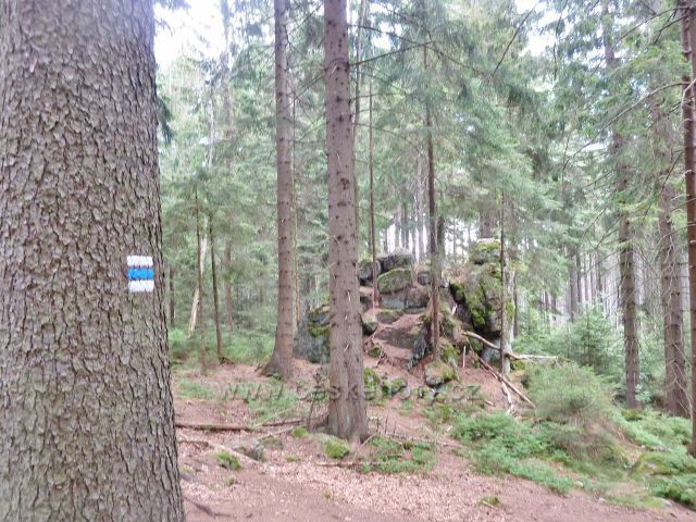 Křižánky - skalní věž u trasy po modré TZ do Křižánek