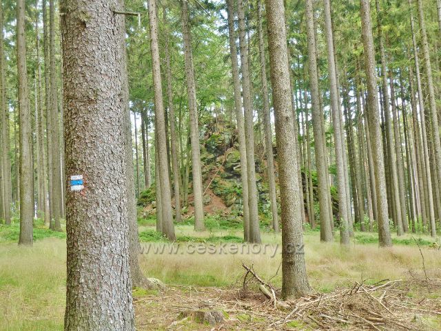 Křižánky - skalní věž Varhany