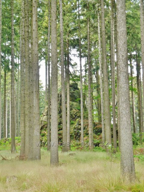 Křižánky - skalní věž Varhany