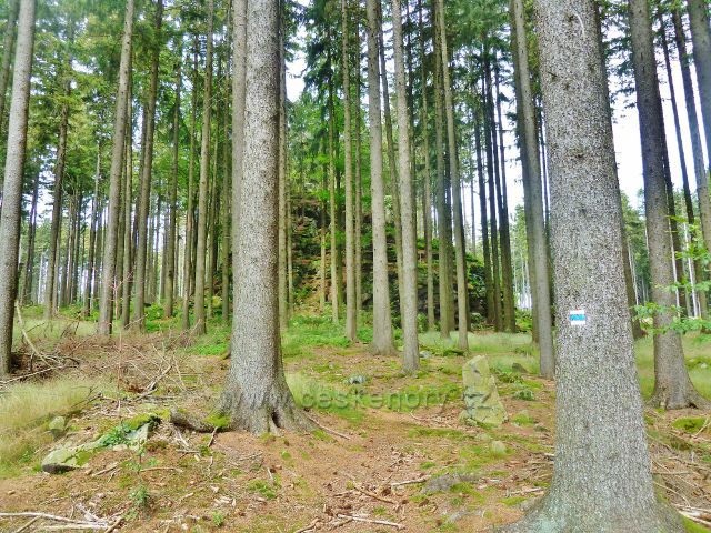 Křižánky - skalní věž Cikánský hrad