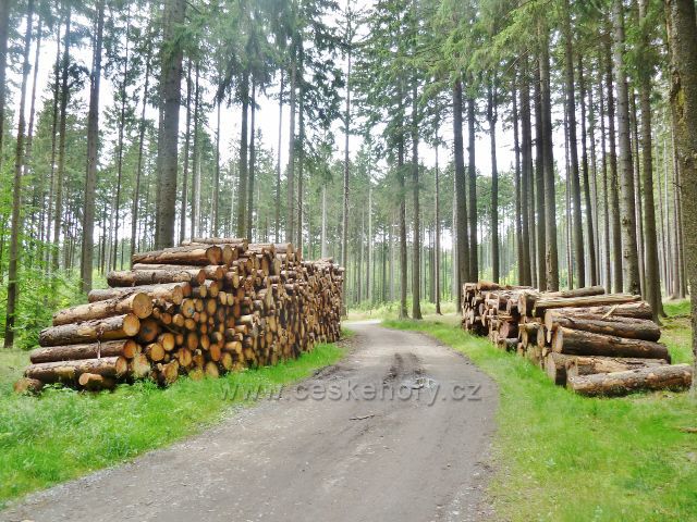 Křižánky - skládky dřeva podél silničky (po modré TZ) do Křižánek