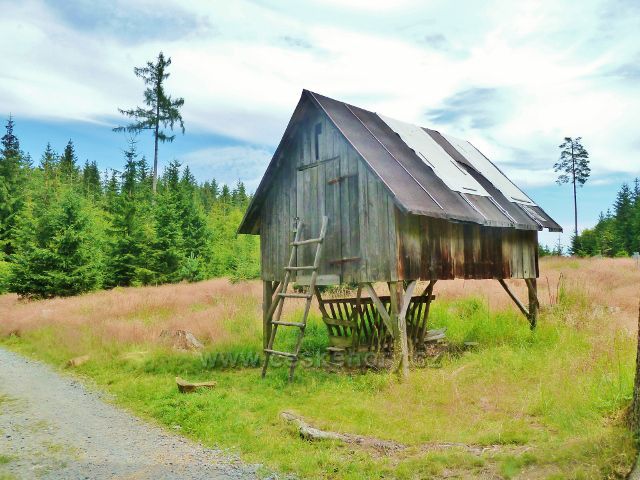 Křižánky - krmelec u trasy po modré TZ do Křižánek
