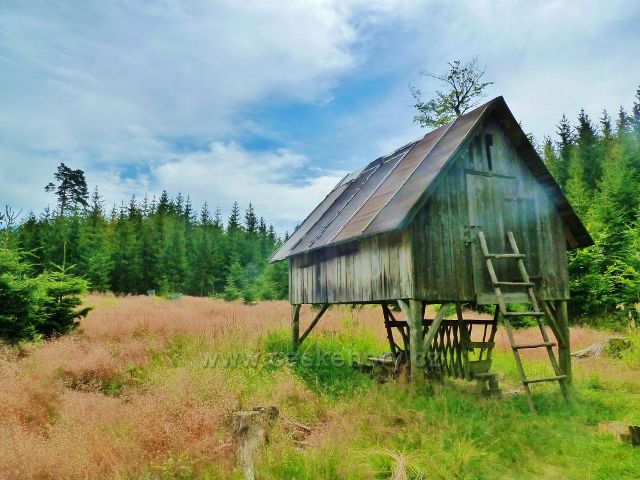 Křižánky - krmelec u trasy po modré TZ do Křižánek
