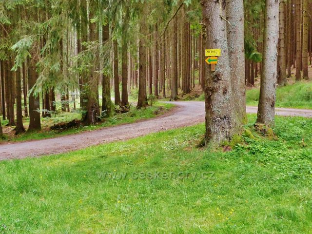 Křižánky - rozcestí cest do Křižánek a do Milov s bodem záchrany ZR 015