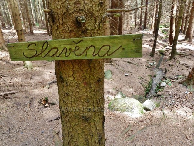Sněžné - lesní pramen Slavěna pod silničkou do Milov