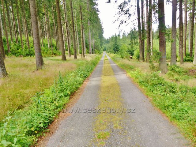 Sněžné - silnička do Milov