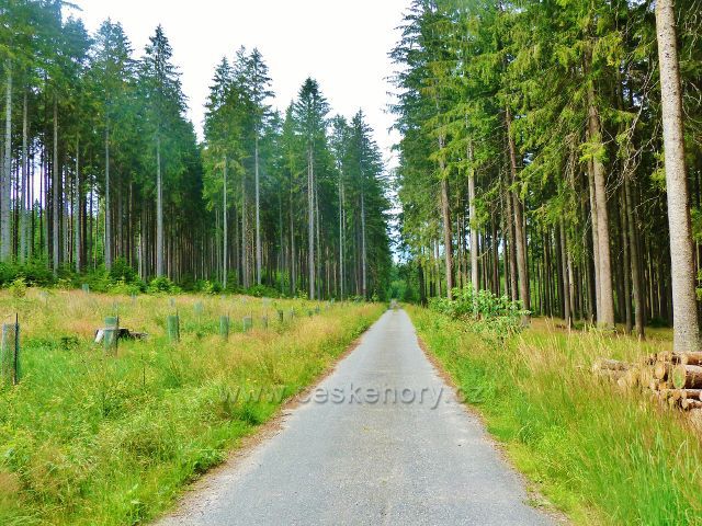 Sněžné - silnička do Milov