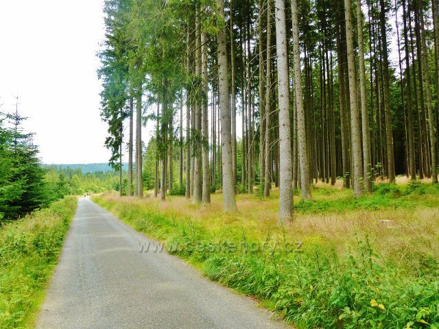 Milovy - silnička do Milov