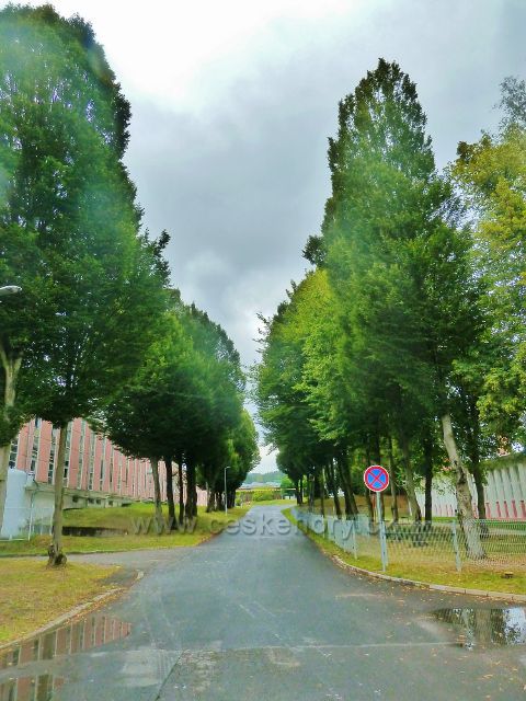 Porcelánka Thun v Nové Roli, zeleň v továrním areálu