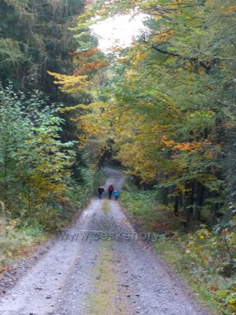 Podzim v lese na Hlinecku