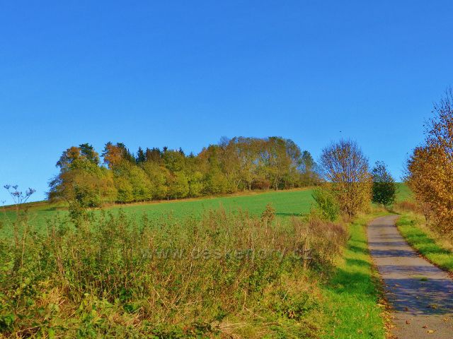 Pastviny - silnička po úbočí vrchu "Na Vrších"