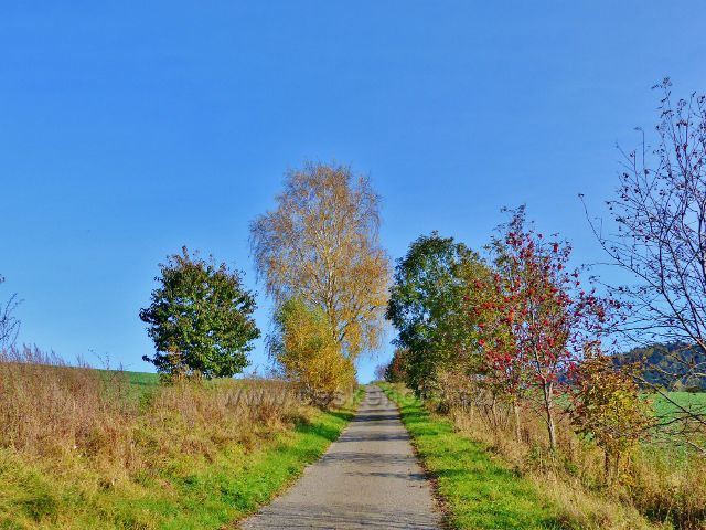 Pastviny - silnička od Studenecké zátoky na Vitanov