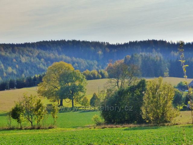 Pastviny - pohled z úbočí vrchu "Na Vrších" ke Studeneckému lesu