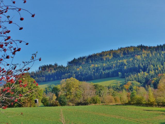 Pastviny - pohled na vrch Studený (721 m.n.m.)