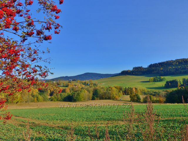 Pastviny - pohled k úbočí Studeného. V pozadí vyčnívá vrchol Vysokého kamene