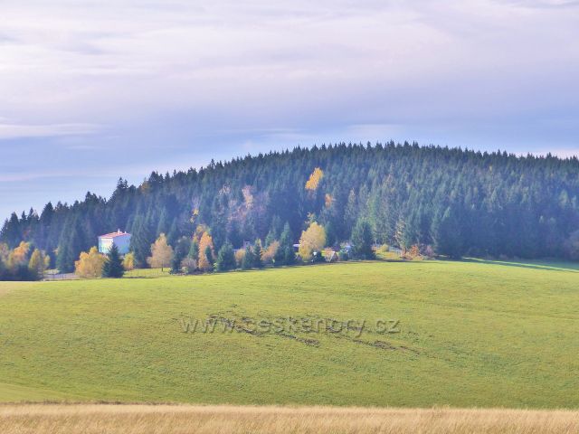 Petrovičky - zalesněný vrchol Adamu (765 m.n.m.)