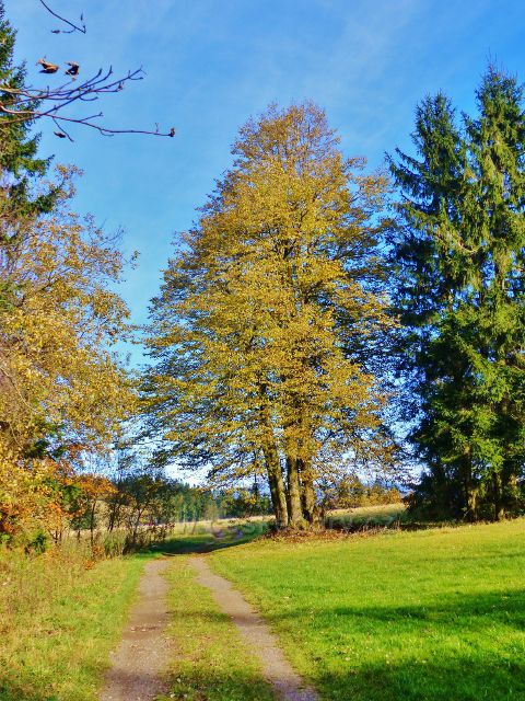 Petrovičky - rozcestí U Křížku
