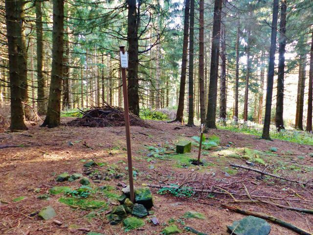 České Petrovice - trigonometrické označení vrcholu Adamu (765 m.n.m.)